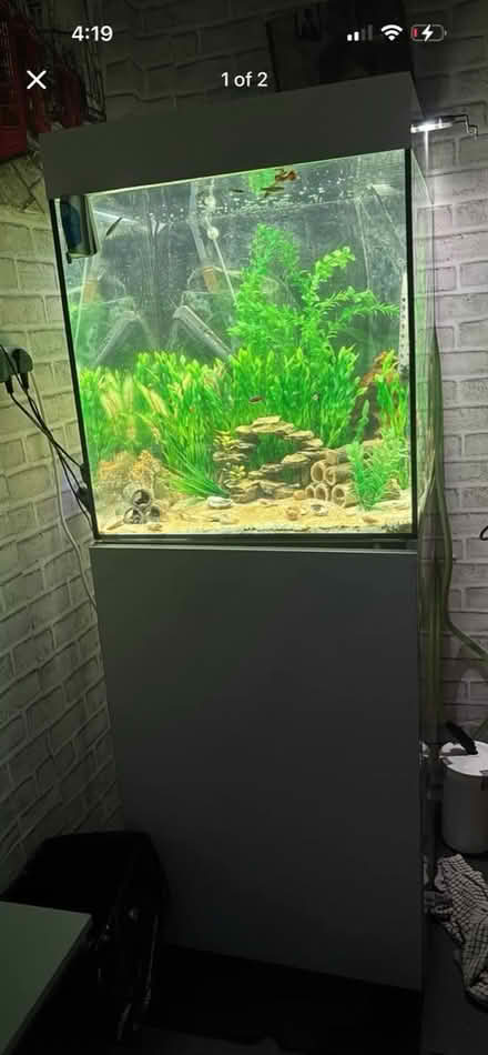 Photo of small fish tank (Wokingham RG40) #1