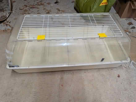 Photo of free Plastic and perspex pet cage (Wraxall BS48) #1