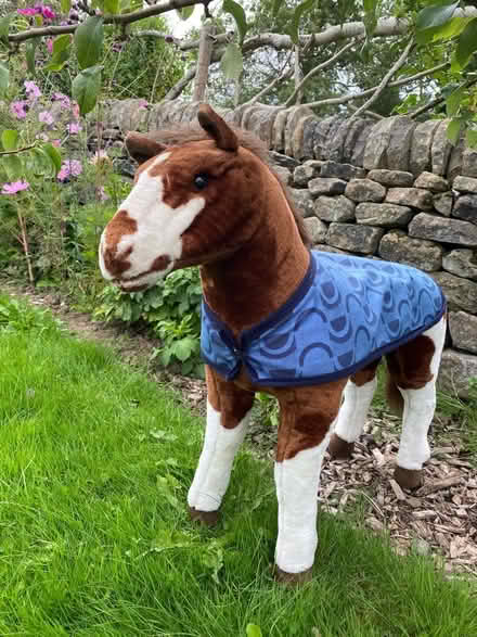Photo of free Large toy horse (Youlgreave DE45) #1