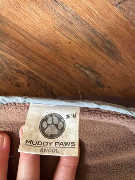 Photo of free Dog coat (Chiswick W4) #3