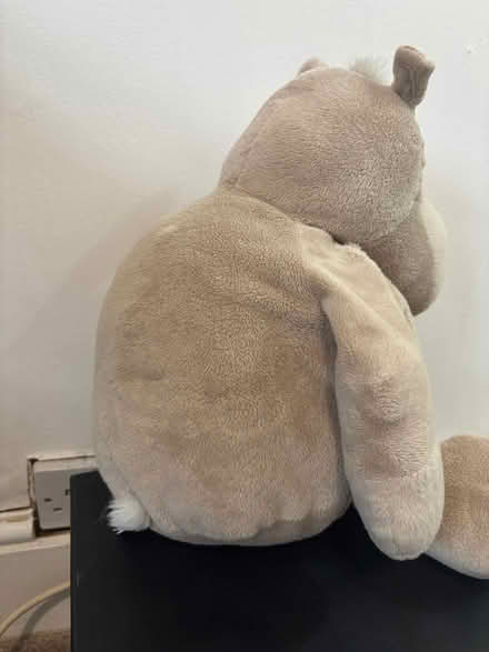 Photo of free Hippo Plushy Toy (Hanley ST1) #3