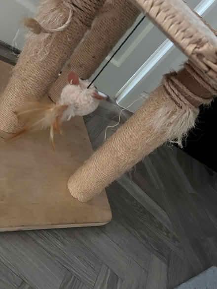 Photo of free Cat tree (Loughton IG10) #2