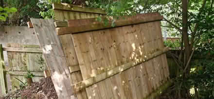 Photo of free Fence Panels (Dawlish EX7) #1
