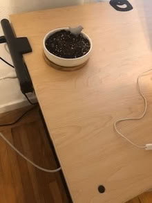 Photo of free Round Shallow Planter with base (mt. carmel) #1