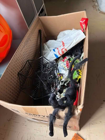 Photo of free Halloween bits (Shefford SG17) #1