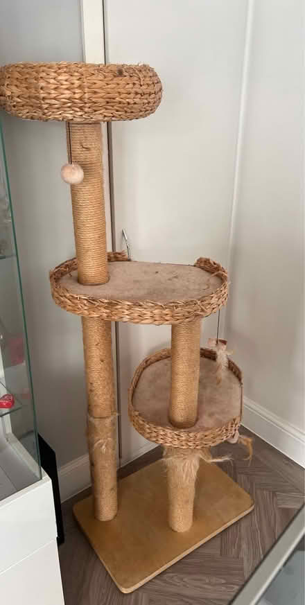 Photo of free Cat tree (Loughton IG10) #1