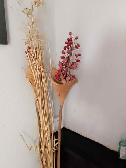 Photo of free Dried flowers (Princes Risborough HP27) #2