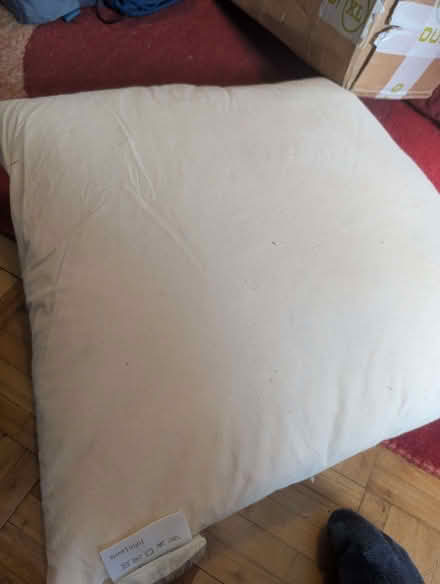Photo of free Two Feather Cushions (Highbury Barn N5) #1