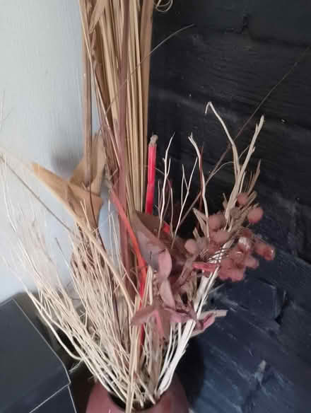 Photo of free Dried flowers (Princes Risborough HP27) #1