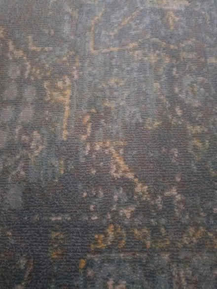 Photo of free large rug (farnham GU9) #2