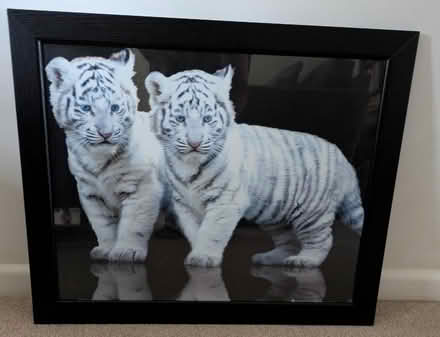 Photo of free Picture (Guilden Sutton CH3) #1