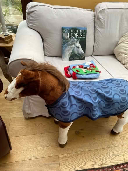 Photo of free Large toy horse (Youlgreave DE45) #3