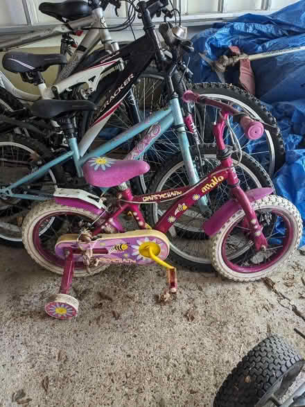 Photo of free Bicycles (Ditchling Common BN6) #1