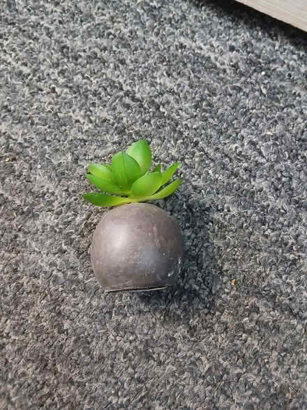 Photo of free Fake plant (Weeke SO22) #1
