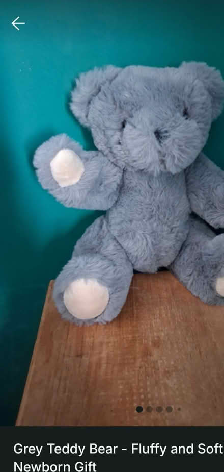 Photo of free Soft Fluffy Bear (Kirk Hallam, DE7) #1