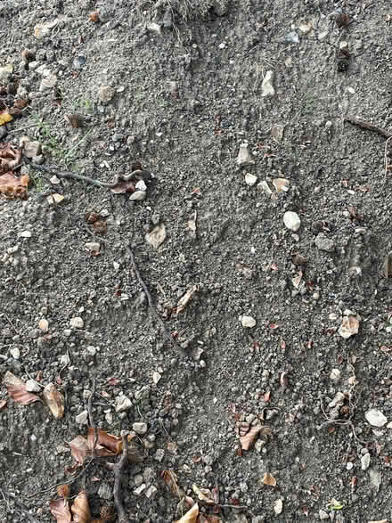 Photo of free Top soil-will be bagged up (Dunton Green TN13) #2