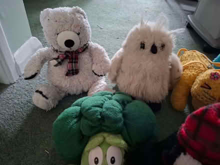 Photo of free Cuddly toys (Emmbrook RG41) #2