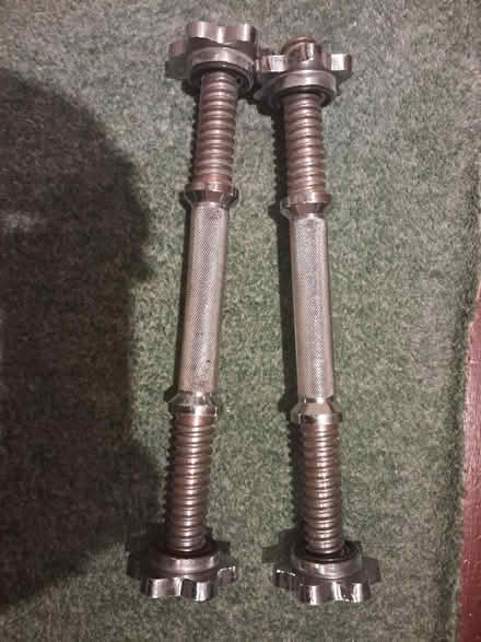 Photo of free Weight plates and dumbells (Wildridings RG12) #2