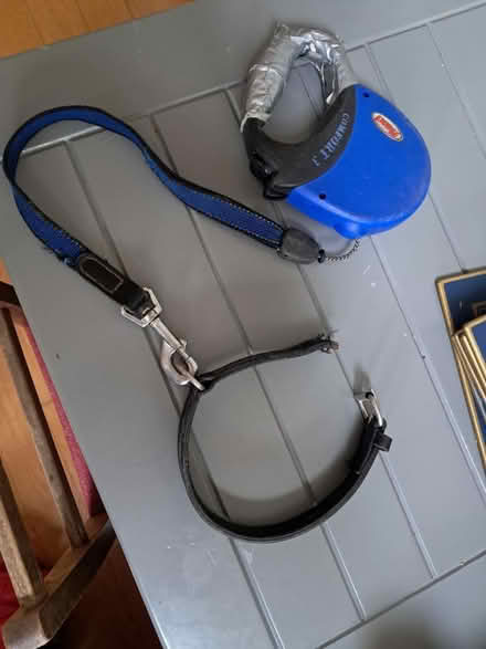 Photo of free Dog collar and lead (firhouse) #1