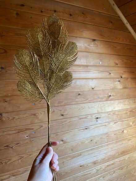 Photo of free Gold glittery things x 10ish (DE56 Belper) #1