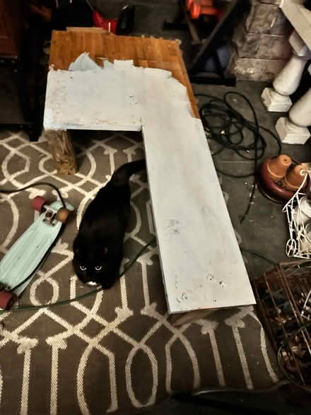 Photo of free Custom bunk bed (Langdon (20018)) #4