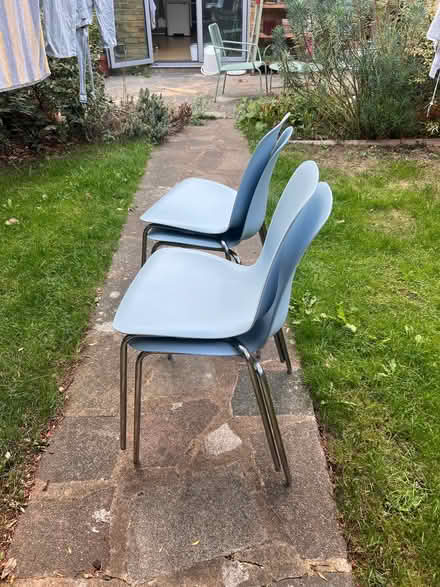 Photo of free Blue dining chairs (Brixton SW2) #2