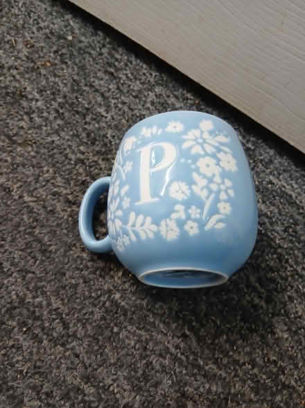 Photo of free Blue p mug (Weeke SO22) #1
