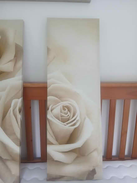 Photo of free set of 3 canvas prints (RG6 Lower Earley) #4
