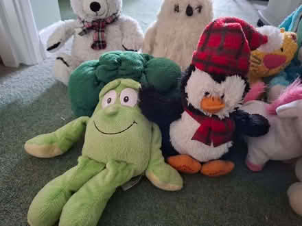 Photo of free Cuddly toys (Emmbrook RG41) #4