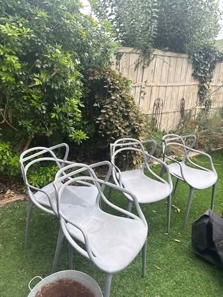 Photo of free 4 Plastic chairs (Rochester ME1) #2