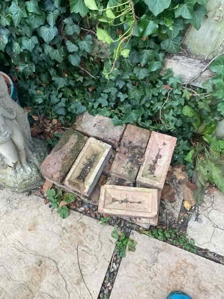 Photo of free 57 bricks (Cricklade SN6) #1