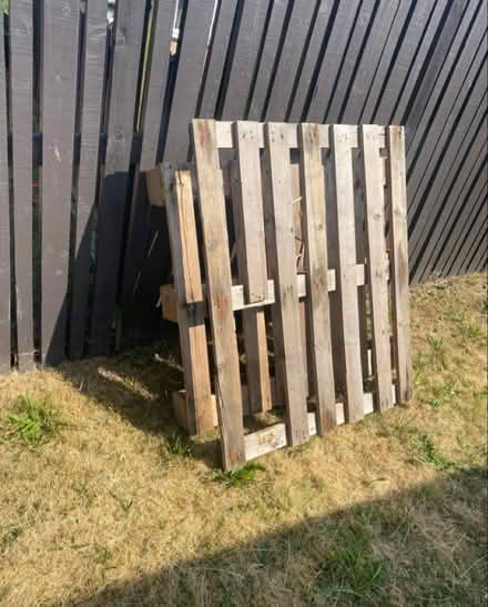 Photo of free 2x pallets (S2 Sheffield) #1