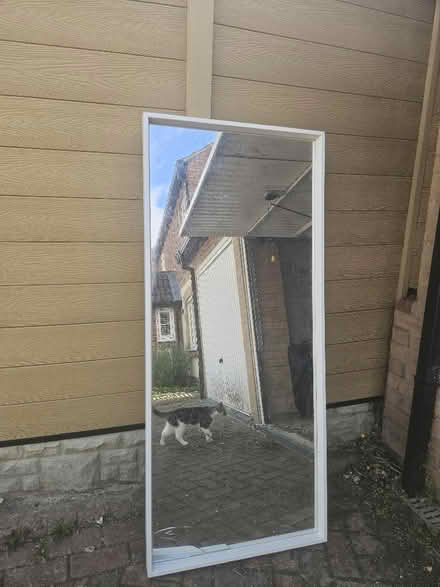 Photo of free mirror (Temple Cowley OX4) #1