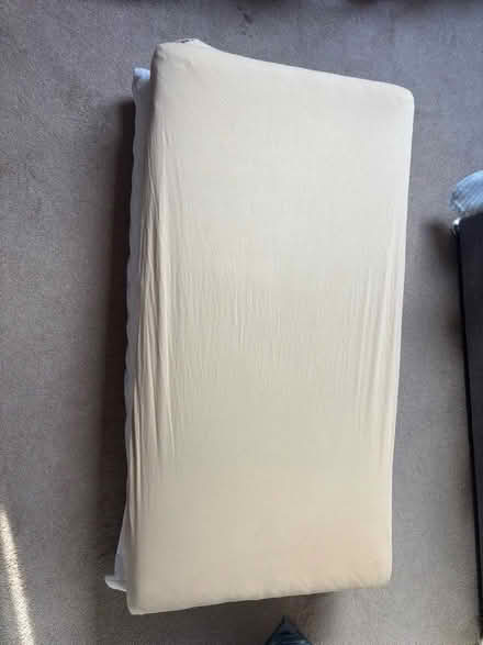 Photo of free 2 x cot mattresses (used as dog step) (Troy Town ME1) #2