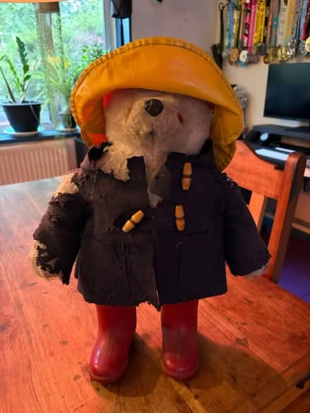 Photo of free Paddington Bear (Reading RG2) #1