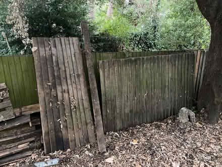 Photo of free Fence panels (Sydenham SE26) #1
