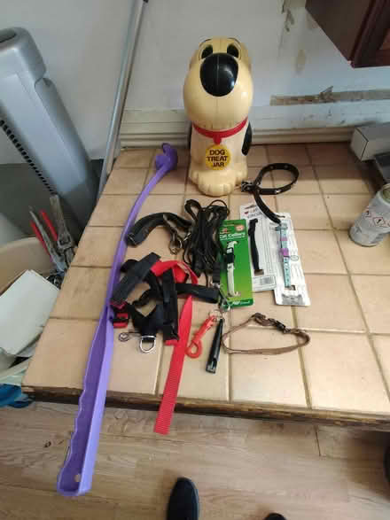 Photo of free Pet Items (Stone Cross BN24) #2
