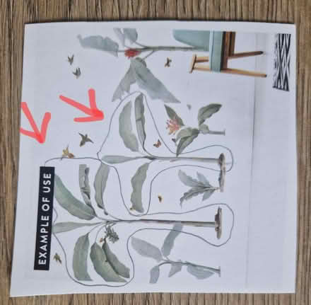 Photo of free Wall decoration stickers - partial set (Woking GU22) #1