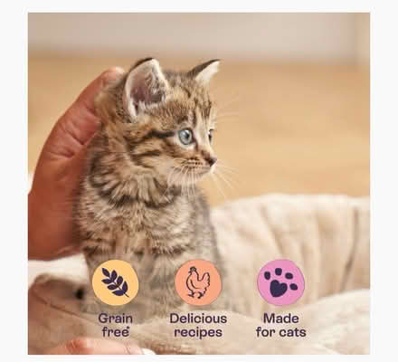 Photo of free Blink kitten food chicken in gravy (Old Woking GU22 9) #4