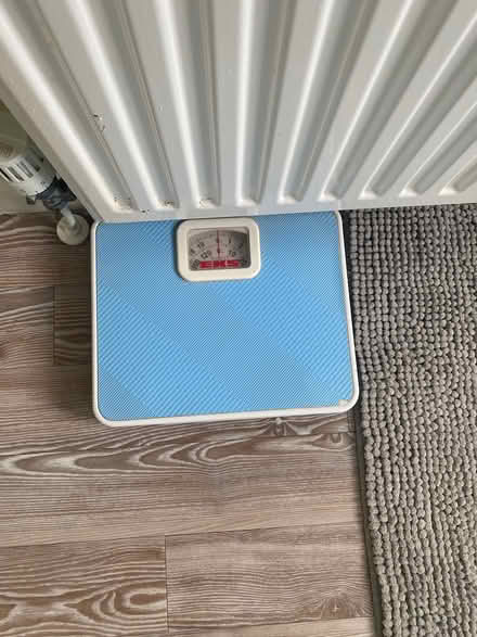 Photo of free scales (Chepstow) #2