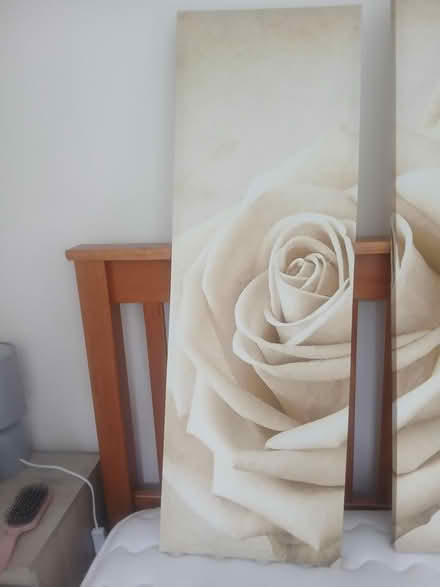 Photo of free set of 3 canvas prints (RG6 Lower Earley) #3