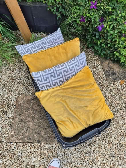 Photo of free Set of four cushions (Ballyfermot) #1