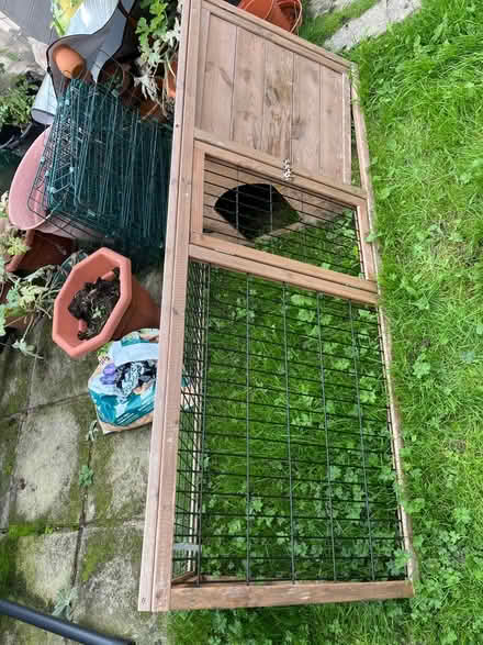 Photo of free Guinea pig run (Sychdyn CH7) #1