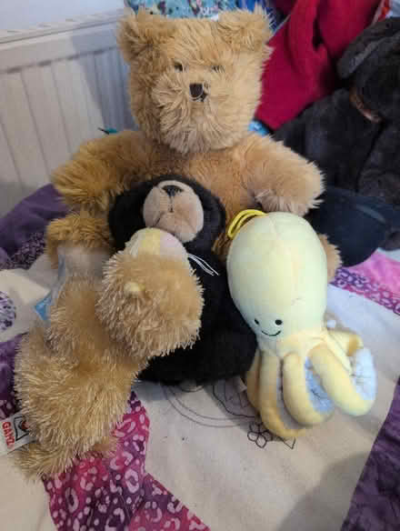 Photo of free Yet more soft toys. Octopus etc (Alperton HA0) #1