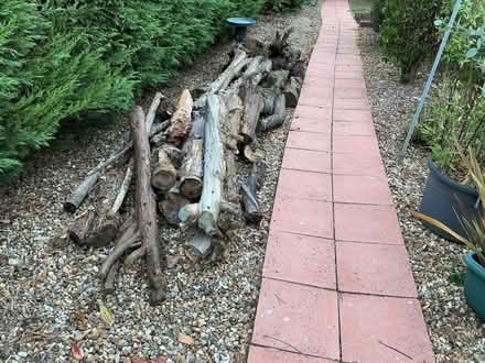 Photo of free Wooden tree trunks (Gidea Park RM2) #2