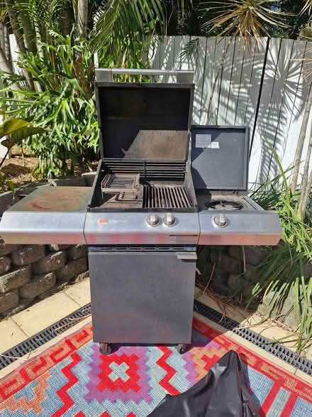 Photo of free BBQ with wok burner (Norman Park) #1