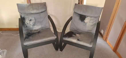 Photo of free Sun lounge chairs (Bungay NR35) #1