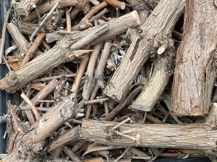 Photo of free Logs (New Barnet EN4) #1