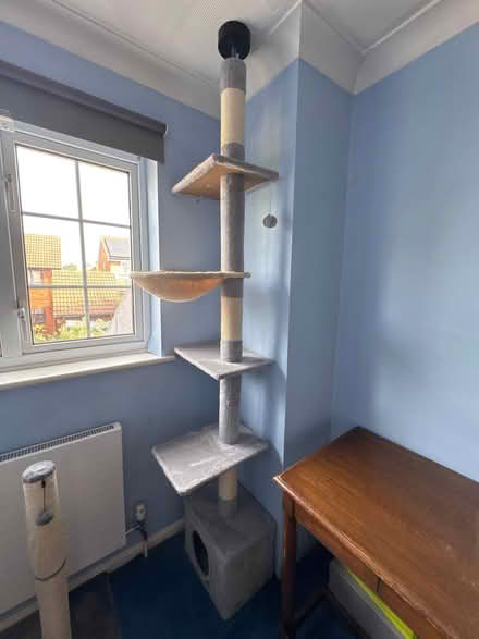 Photo of free Cat tree (Lords Wood ME5) #1