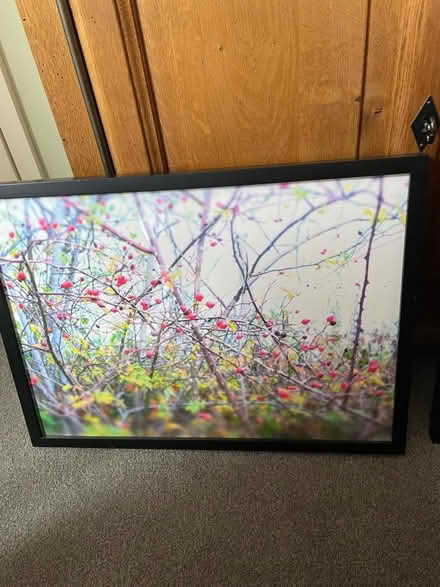 Photo of free Picture frames (Oldfield Park BA2) #1